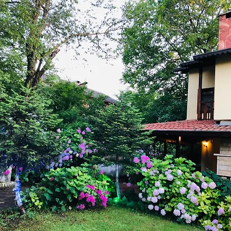 Garden Kirkpinar Sapanca